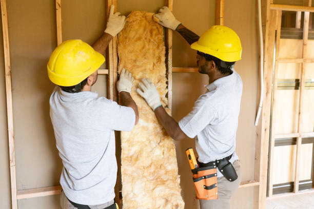 Best Attic Insulation Installation  in Princeton, IL